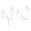 Partypicks Duvor