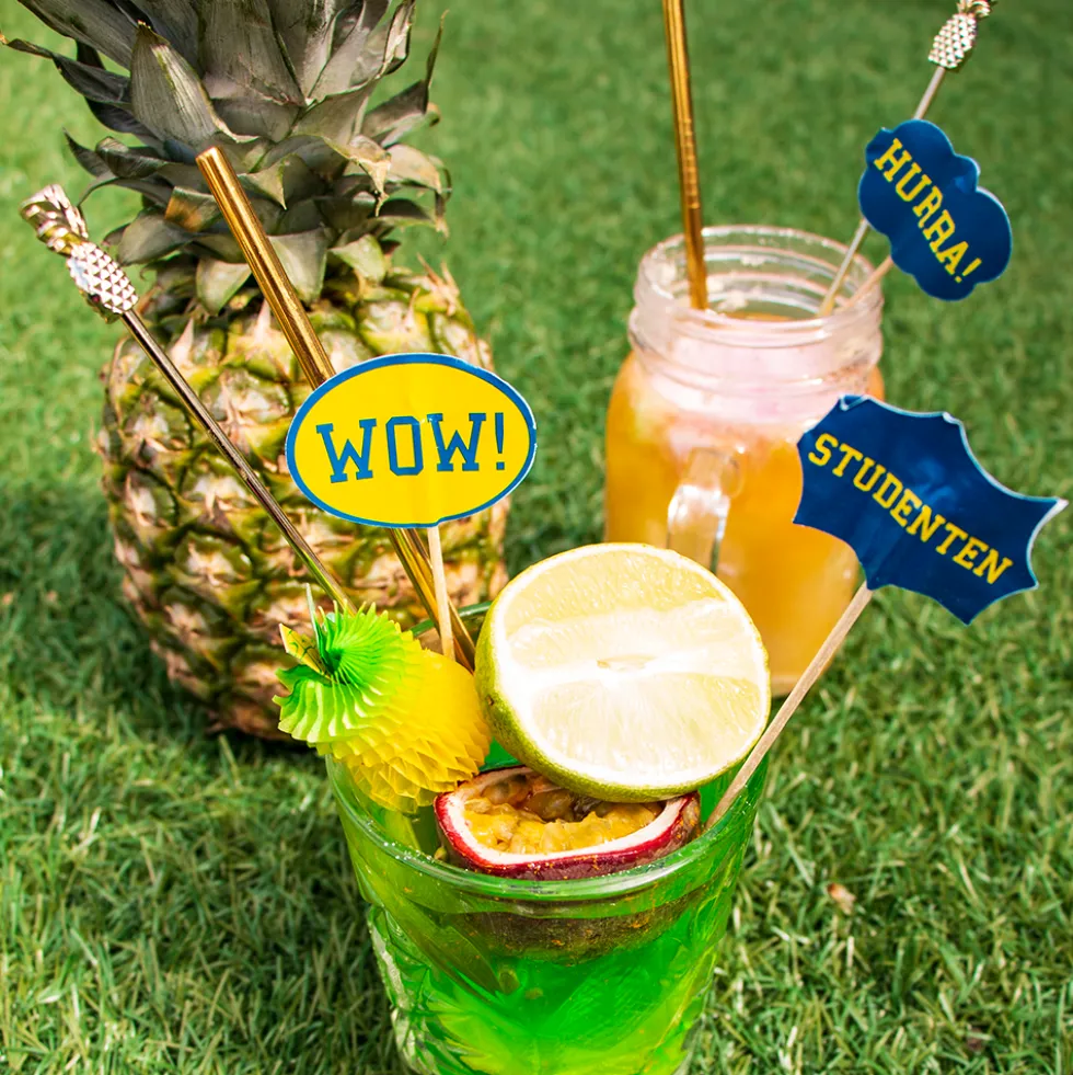 Partypicks Studenten