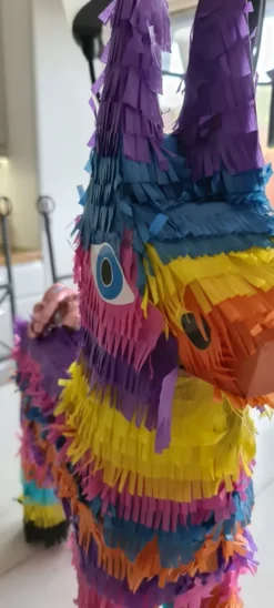 Pinata Åsna Flerfärgad