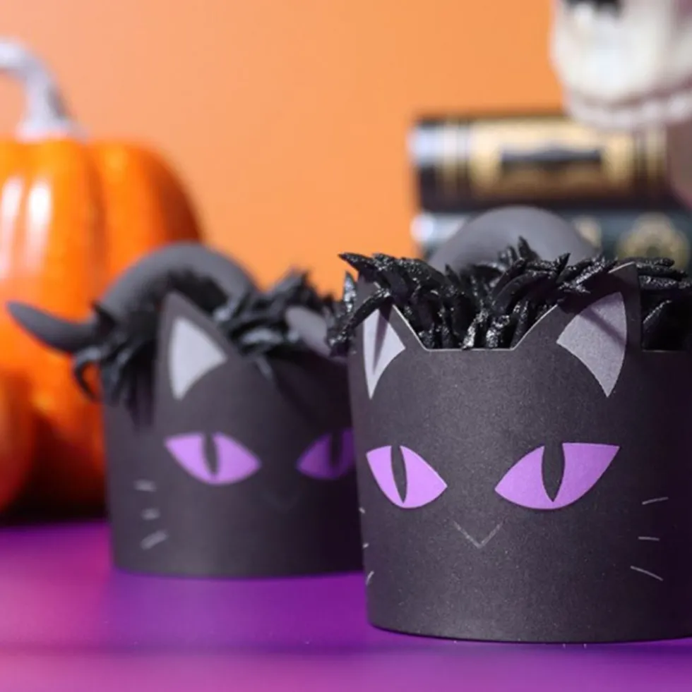 PME Cupcake Kit Svart Katt