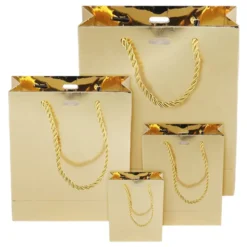 Presentpåse Guld Metallic