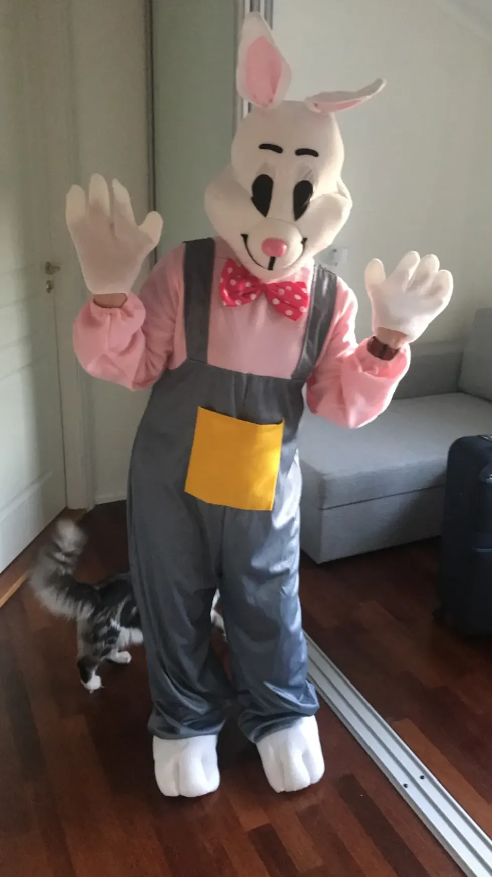 Påskhare Maskeraddräkt