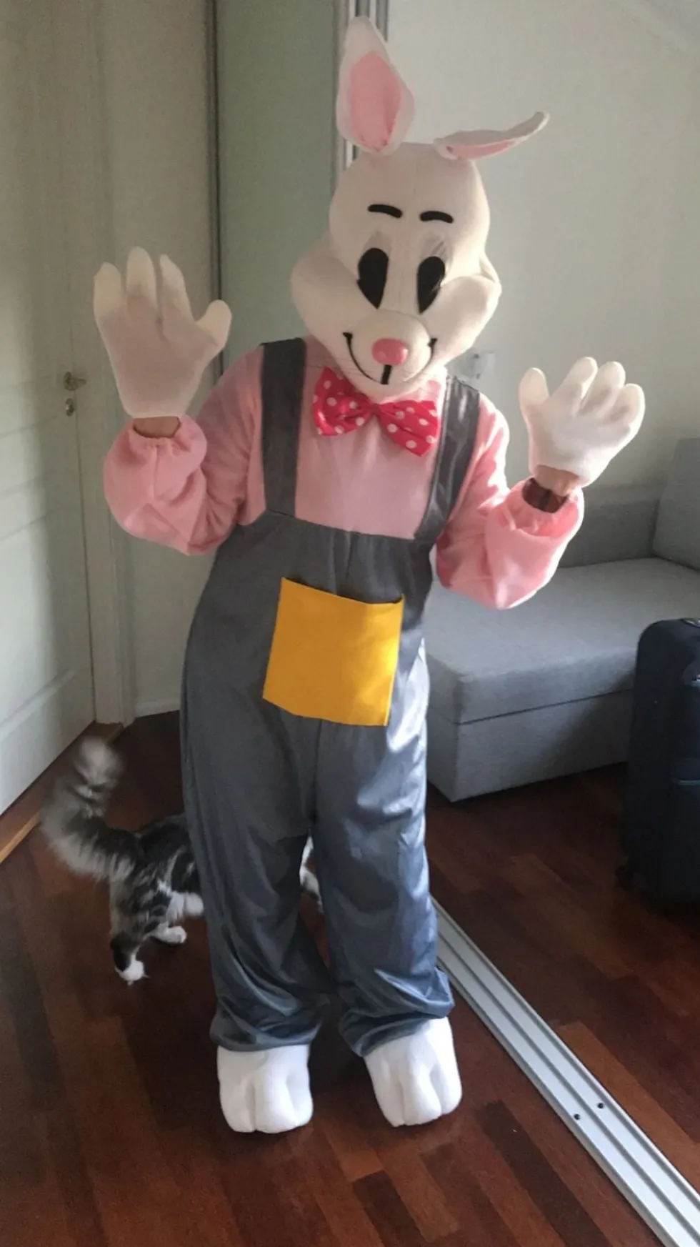 Påskhare Maskeraddräkt