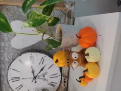 Pumpor i Nät Bordsdekoration