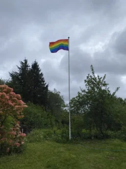Regnbågsflagga