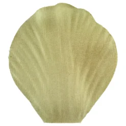 Rosenblad Olive