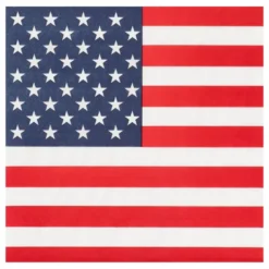Servetter American Party