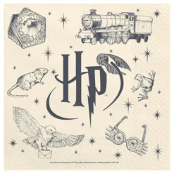 Servetter Harry Potter™