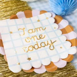 Servetter I Am One Today