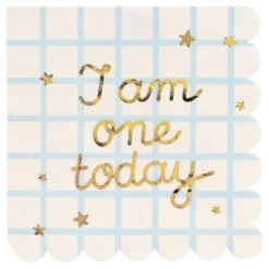 Servetter I Am One Today