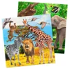Servetter Safari Party