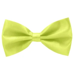 Sidenfluga