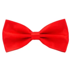 Sidenfluga
