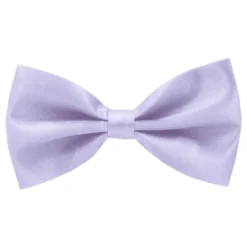 Sidenfluga