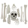 Skelettdelar av Plast