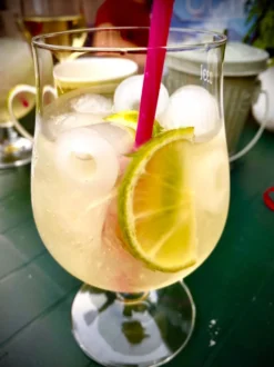 Slush Ice & Drinkbål