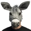 Åsna Halvmask