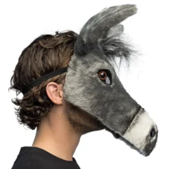 Åsna Halvmask