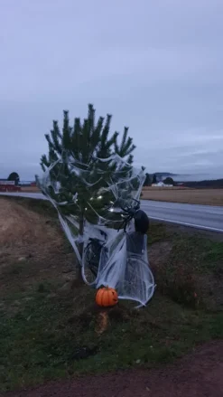 Spindelnät Jättepåse