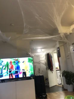 Spindelnät Jättepåse