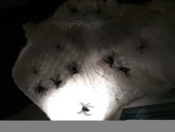 Spindelnät Jättepåse