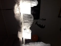 Spindelväv med Spindlar