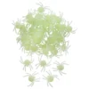 Spindlar Glow in the Dark