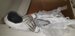 Spöke med Kedja Animerad Prop