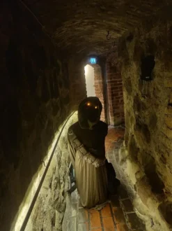 Star Wars™ Jawa Maskeraddräkt