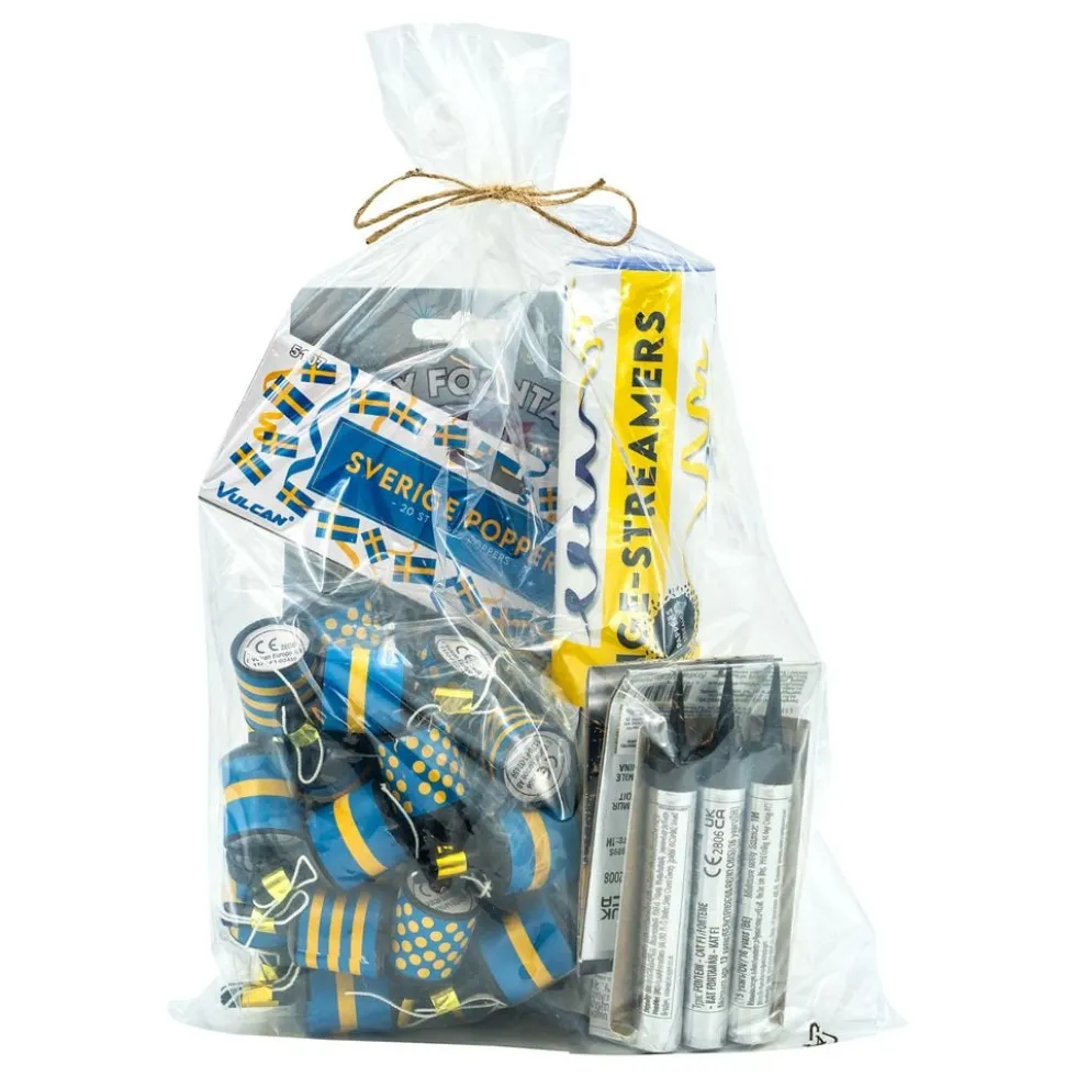 Student Partykit