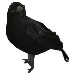 Svart korp Dekoration