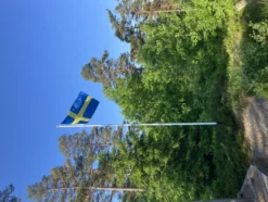 Sverigeflagga