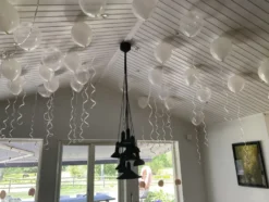 Takballonger Vit