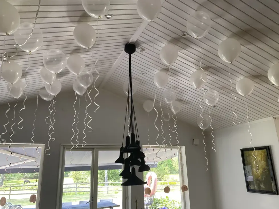 Takballonger Vit