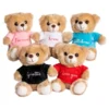 T-Bear Nalle med Text