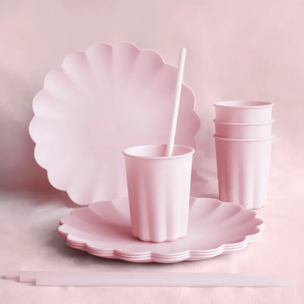 Återanvändbara Sugrör Rosa