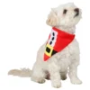 Tomtescarf för Hund