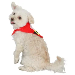Tomtescarf för Hund