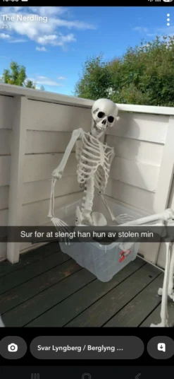 Verklighetstroget Skelett