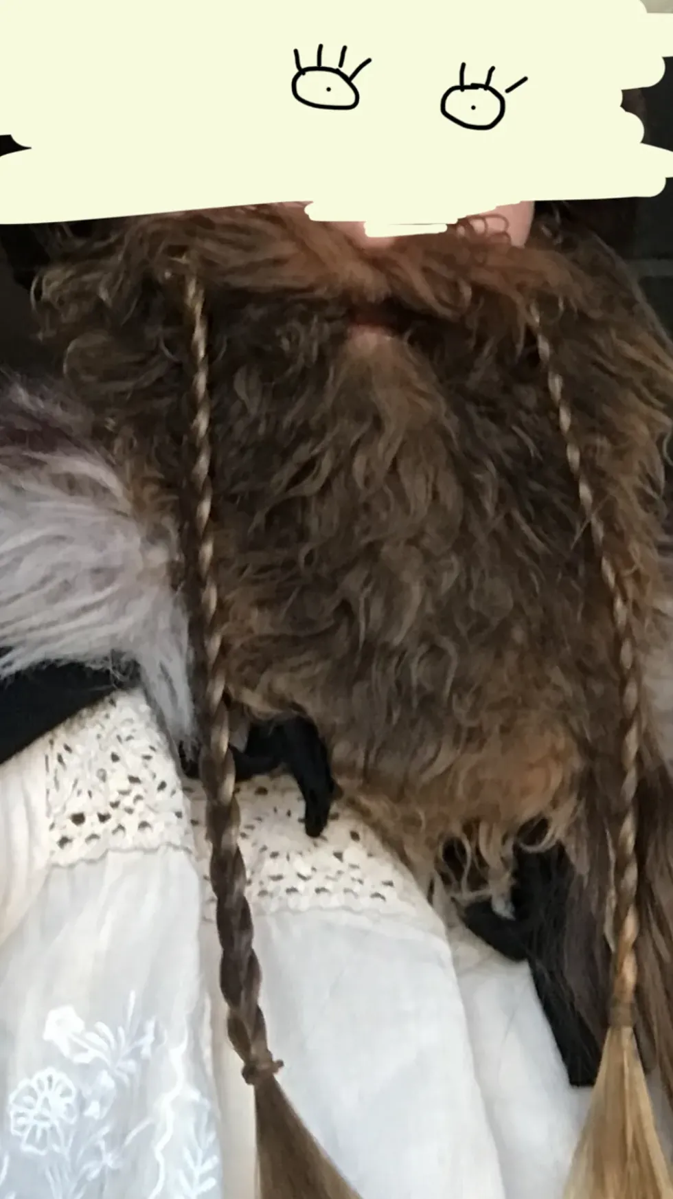 Vikingaskägg
