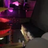 Vimpelgirlang Flerfärgad