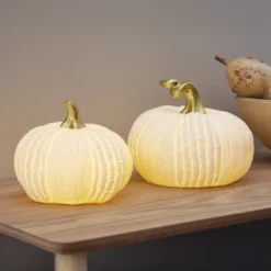 Vit Pumpa LED